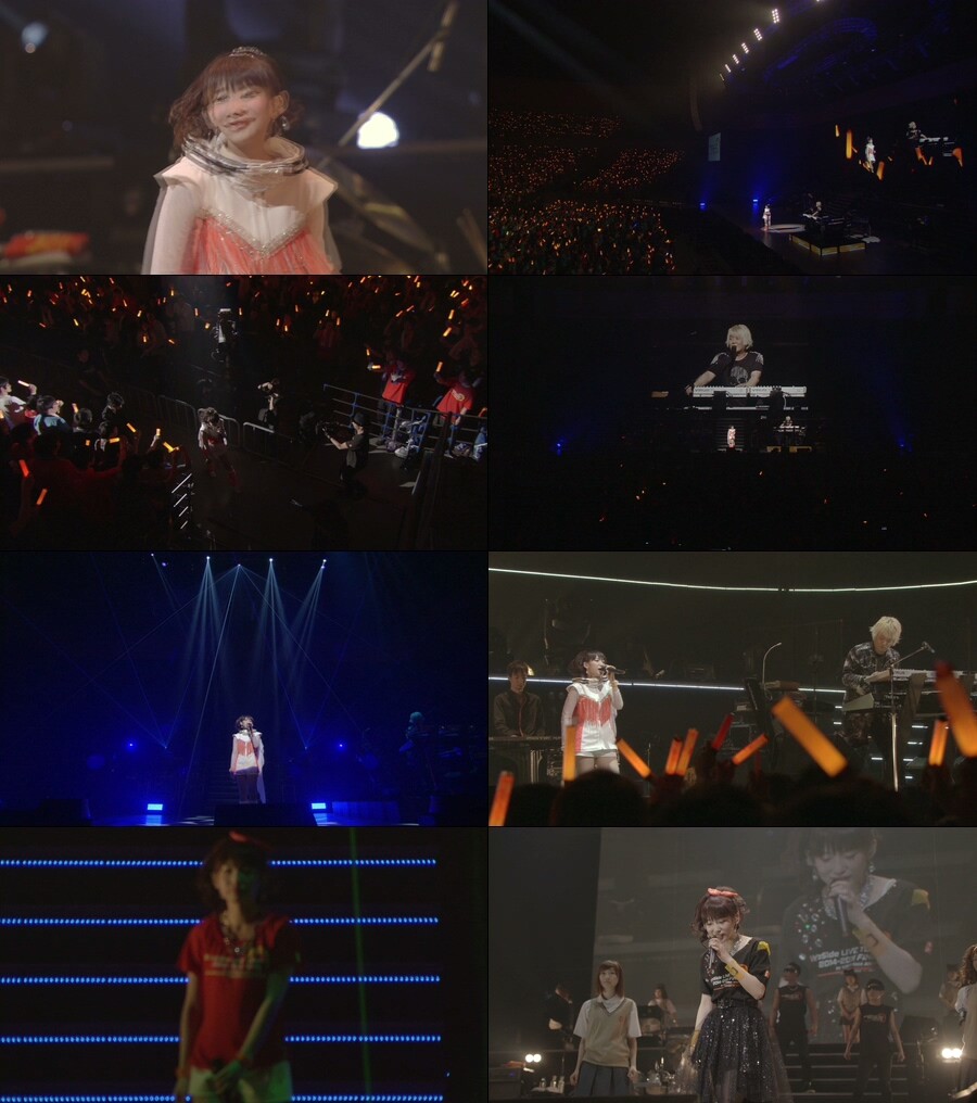 fripSide – LIVE TOUR 2014-2015 FINAL in YOKOHAMA ARENA 1080P蓝光原盘 [BDMV 78.1G]Blu-ray、日本演唱会、蓝光演唱会4