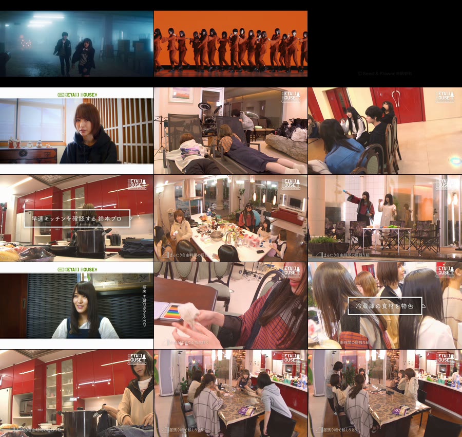 欅坂46 (keyakizaka46) – 黒い羊 [初回仕様限定盤] TYPE-A～D (4BD) 1080P蓝光原盘 [BDMV 65.6G]Blu-ray、日本演唱会、蓝光演唱会10