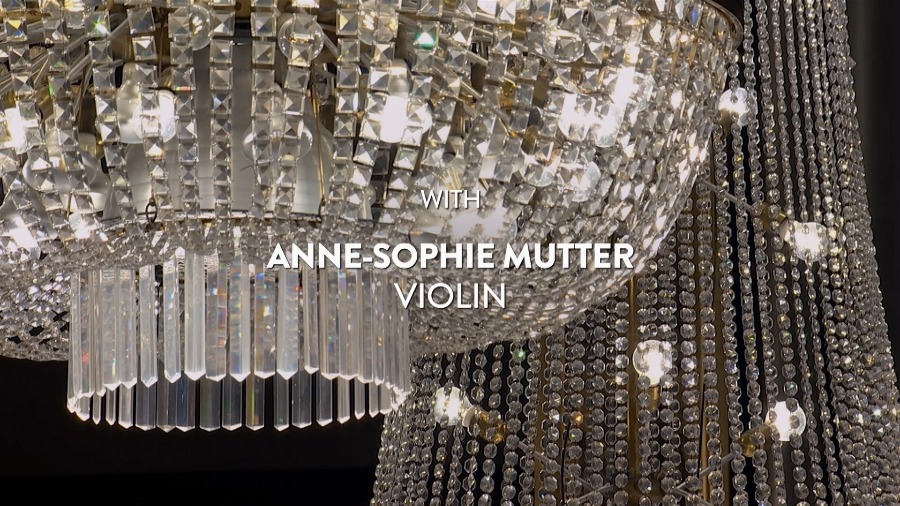约翰·威廉姆斯 维也纳音乐会 John Williams : Live in Vienna (Anne-Sophie Mutter, Wiener Philharmoniker) 2020 1080P蓝光原盘 [BDMV 43.6G]Blu-ray、古典音乐会、推荐演唱会、蓝光演唱会2