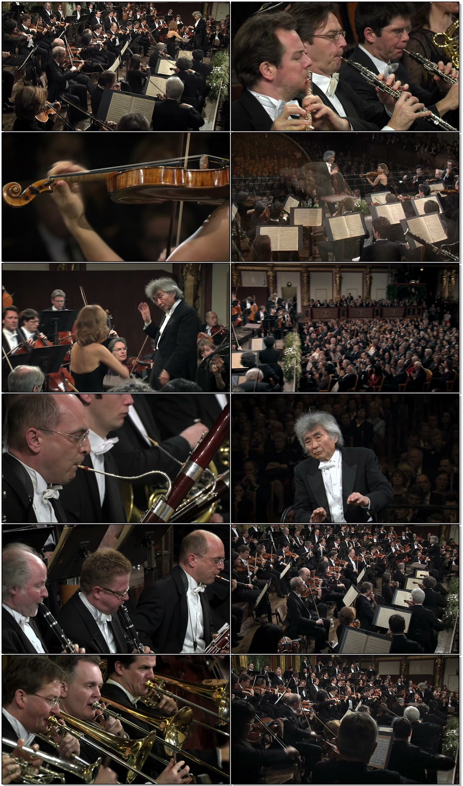 卡拉扬纪念音乐会 Karajan Memorial Concert (Seiji Ozawa & Anne-Sophie Mutter) 1080P蓝光原盘 [BDMV 22.9G]Blu-ray、古典音乐会、蓝光演唱会6