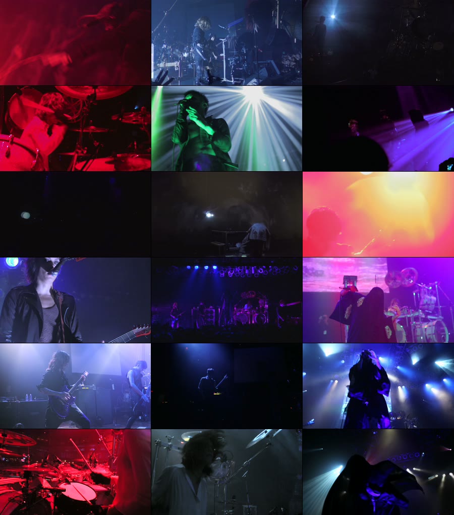 DIR EN GREY 灰色银币 – TOUR13 GHOUL [Limited Edition] (2014) (2BD) 1080P蓝光原盘 [BDMV 51.6G]Blu-ray、Blu-ray、摇滚演唱会、日本演唱会、蓝光演唱会10
