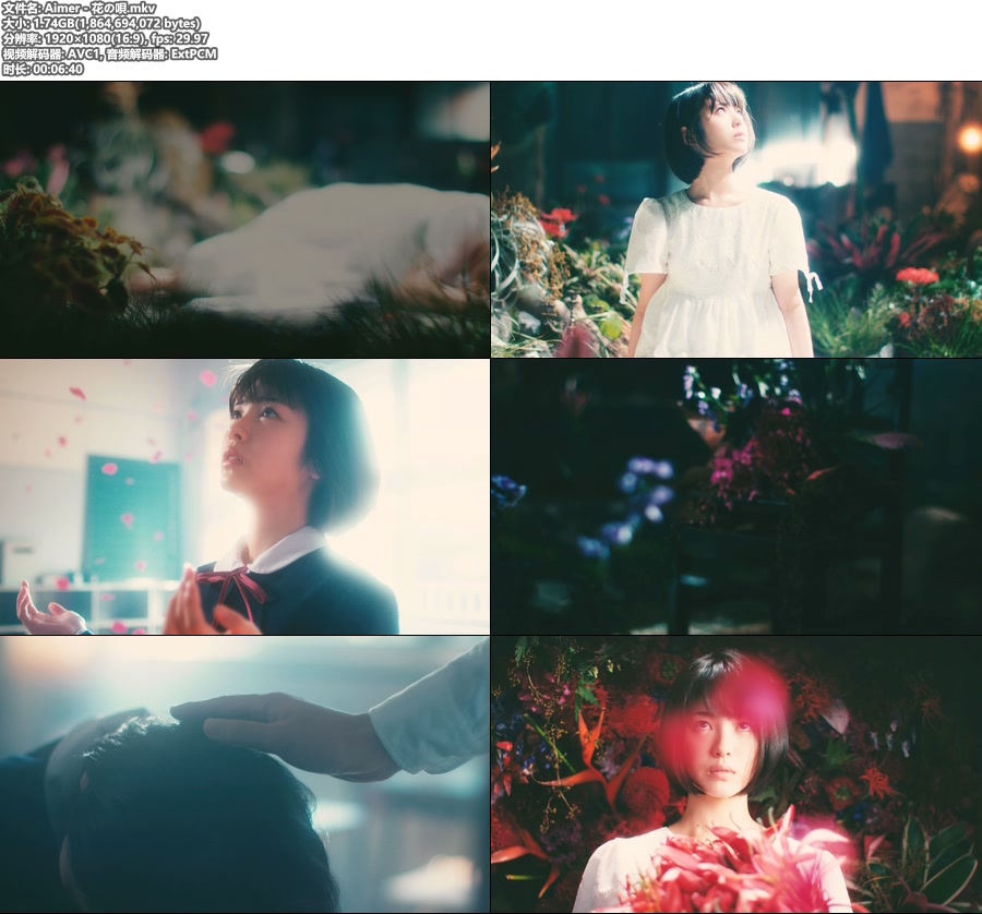 [BR] Aimer – 花の唄 (官方MV) [1080P 1.7G]Master、日本MV、高清MV2