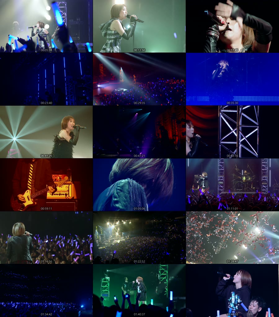 蓝井艾露 (Eir Aoi, 藍井エイル) – Special Live 2014 ~IGNITE CONNECTION~ at TOKYO DOME CITY HALL (2015) 1080P蓝光原盘 [BDMV 31.3G]Blu-ray、日本演唱会、蓝光演唱会8