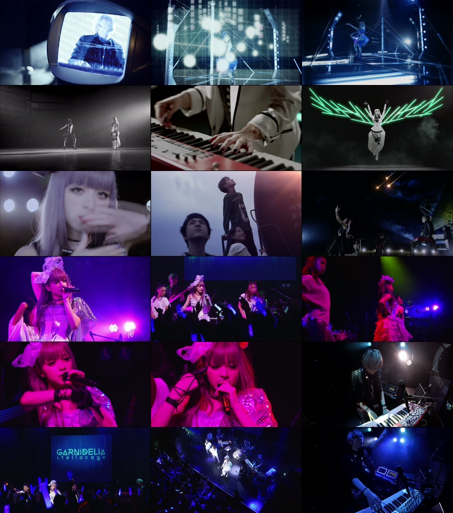 GARNiDELiA – Linkage Ring (专辑蓝光部分) 1080P蓝光原盘 [BDMV 7.1G]Blu-ray、日本演唱会、蓝光演唱会6