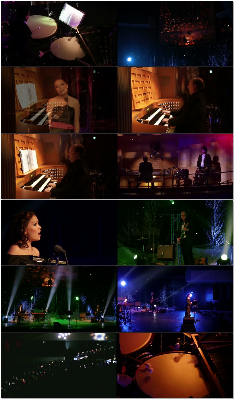 Tarja Turunen (ex. Nightwish) – In Concert : Live at Sibelius Hall (2011) 1080P蓝光原盘 [BDMV 15.7G]Blu-ray、Blu-ray、Blu-ray、古典音乐会、摇滚演唱会、欧美演唱会、蓝光演唱会8