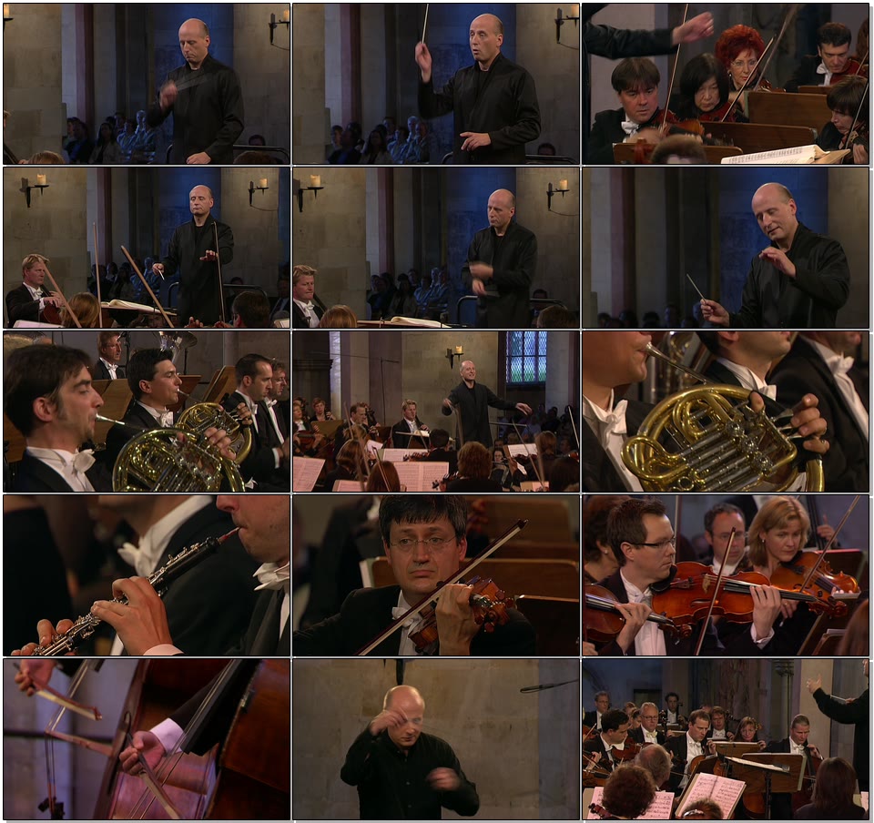 马勒交响曲 Gustav Mahler Symphonies Nos. 9 & 10 (2013) 1080P蓝光原盘 [BDMV 36.5G]Blu-ray、古典音乐会、蓝光演唱会8