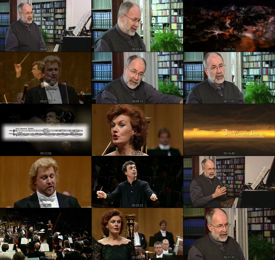 古典音乐大师 Masters of Classical Music : 20 Documentaries (2015) (4BD) 1080P蓝光原盘 [BDMV 88.5G]Blu-ray、古典音乐会、蓝光演唱会8