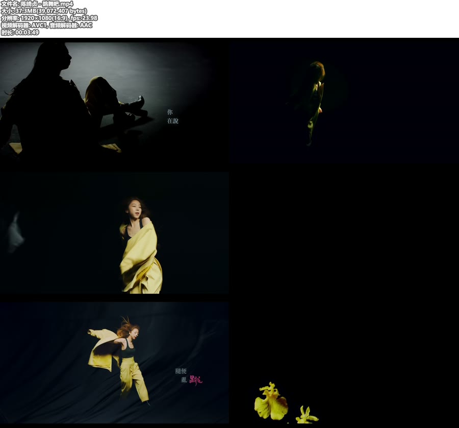 陈绮贞 – 跳舞吧 (官方MV) [1080P 37M]WEB、华语MV、高清MV2