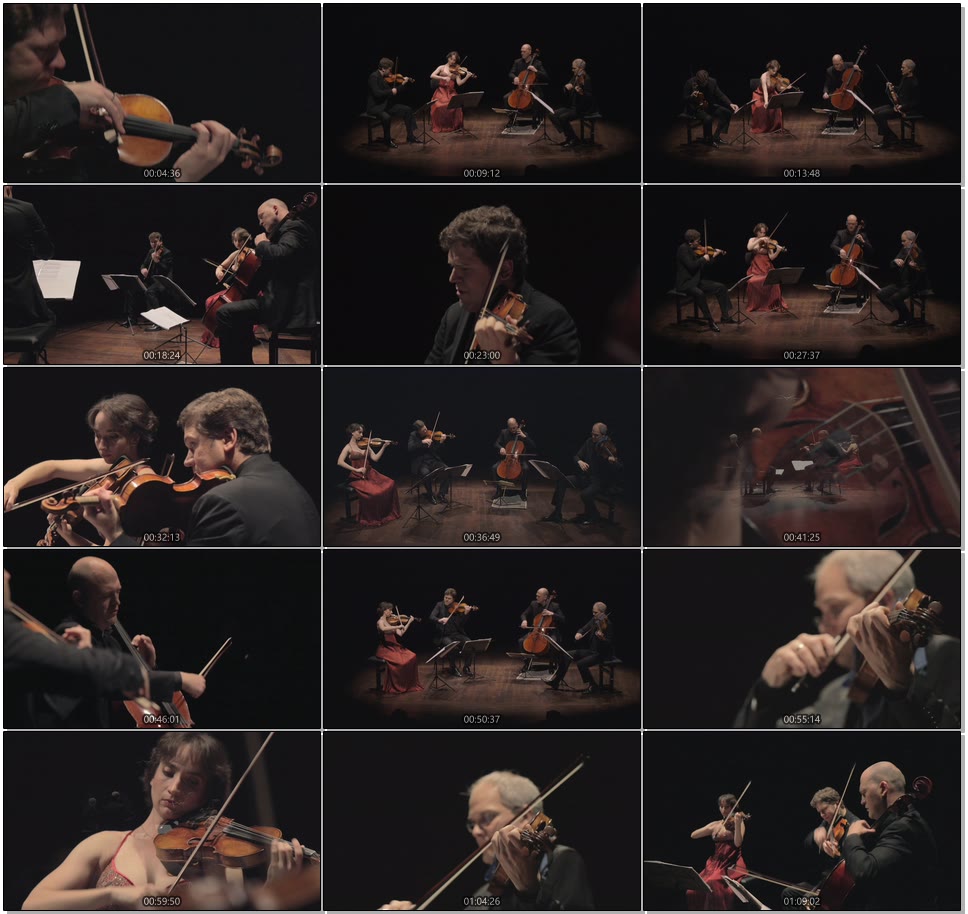 Cuarteto Casals – FRANZ SCHUBERT : String Quartets #1 – Live in Barcelona (2016) 1080P蓝光原盘 [BDMV 22.2G]Blu-ray、古典音乐会、蓝光演唱会8
