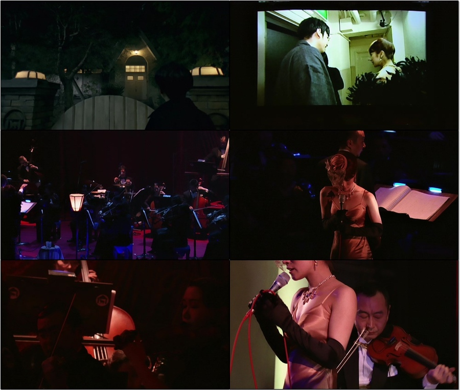 椎名林檎 (Shiina Ringo) – LiVE [十五周年記念限定] Blu-ray BOX (2013) 1080P蓝光原盘 [8BD BDMV 191.5G]Blu-ray、日本演唱会、蓝光演唱会6