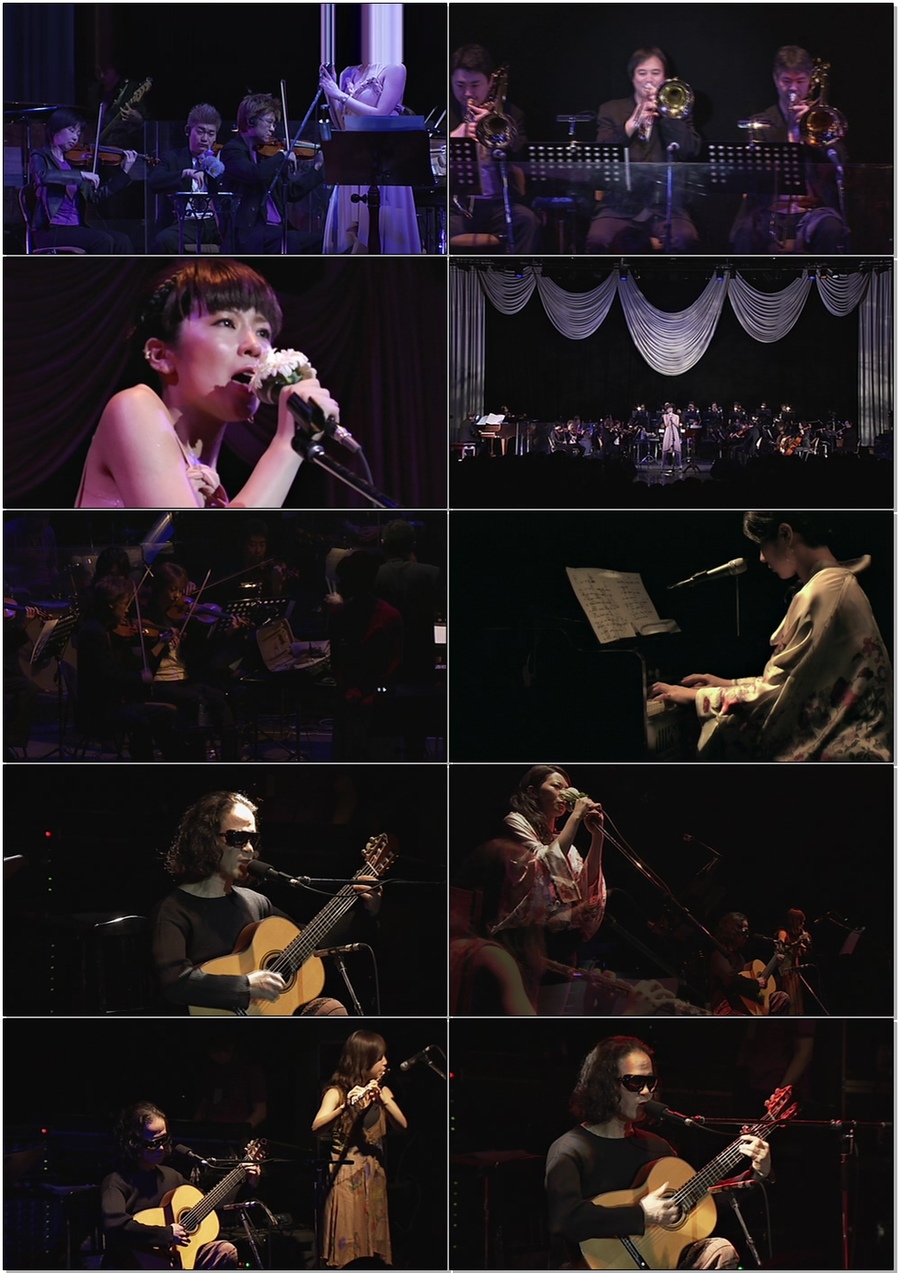 椎名林檎 (Shiina Ringo) – LiVE [十五周年記念限定] Blu-ray BOX (2013) 1080P蓝光原盘 [8BD BDMV 191.5G]Blu-ray、日本演唱会、蓝光演唱会10