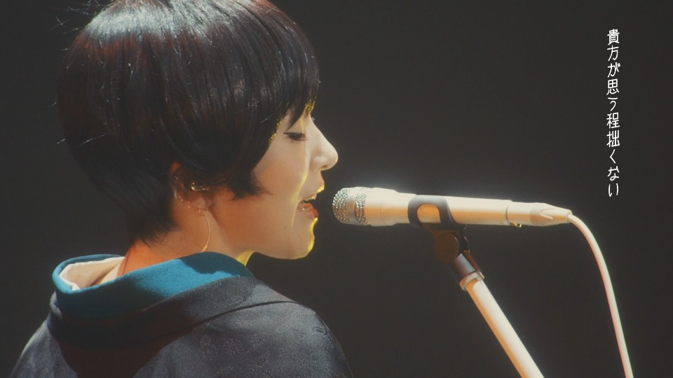 椎名林檎 (Shiina Ringo) – (生)林檎博′18 -不惑の余裕- Ringo Expo 2018 1080P蓝光原盘 [BDMV 35.2G]Blu-ray、日本演唱会、蓝光演唱会2