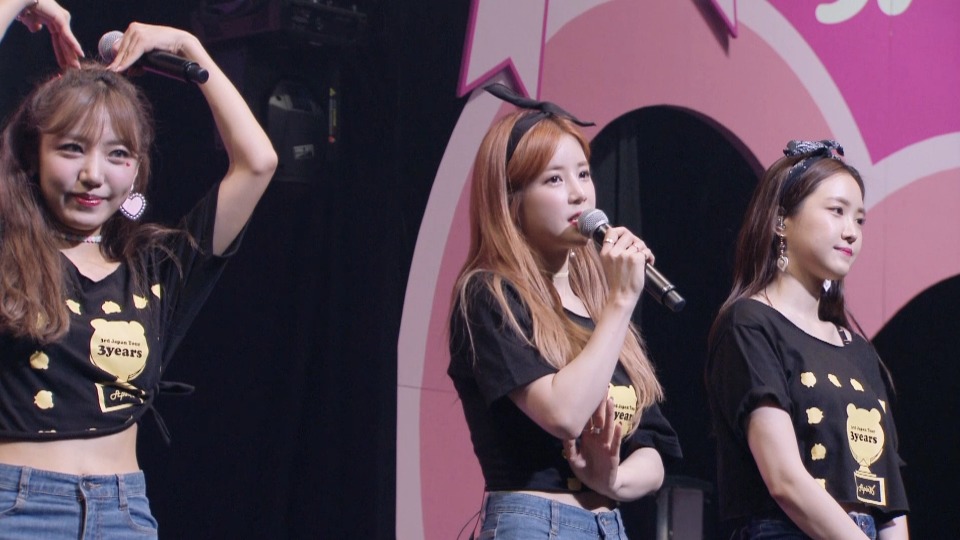 Apink – 3rd LIVE TOUR 2017 ~3YEARS~ 第三次日本巡回演唱会