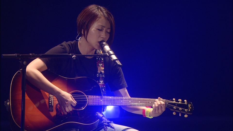 宇多田ヒカル– WILD LIFE (2011) 1080P蓝光原盘[BDISO 45.1G] – 哆咪影音