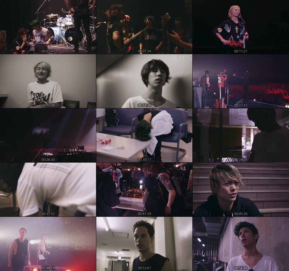 ONE OK ROCK – ONE OK ROCK 2015 35xxxv JAPAN TOUR LIVE