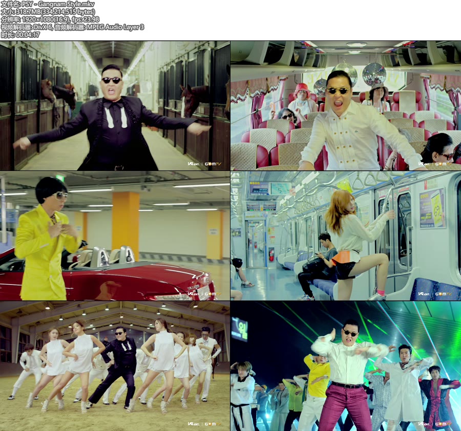 PSY 鸟叔 – Gangnam Style (官方MV) [1080P 318M]WEB、韩国MV、高清MV2