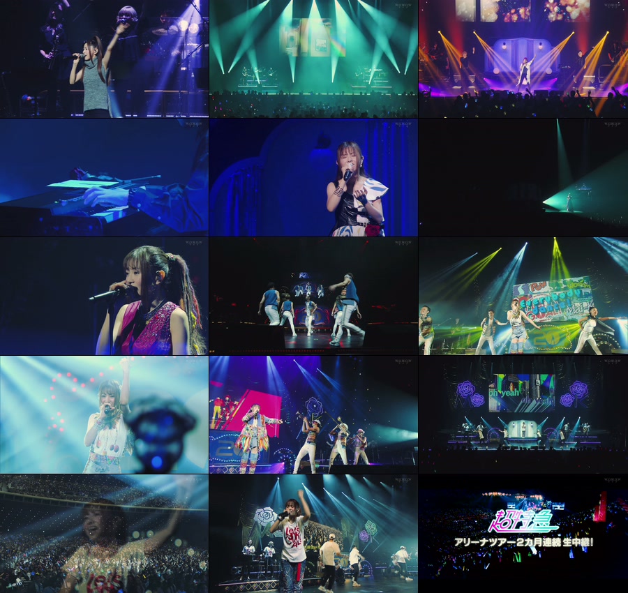 Blu-ray 倉木麻衣/20th Anniversary Live 2019 519YLxl334L._UF350,350_QL50_.jpg