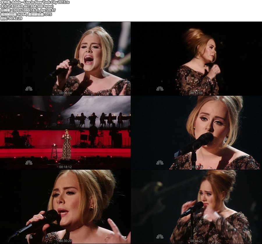 Adele – Live in New York City 2015 [HDTV 1080P 7.87G]HDTV、欧美现场、高清MV2