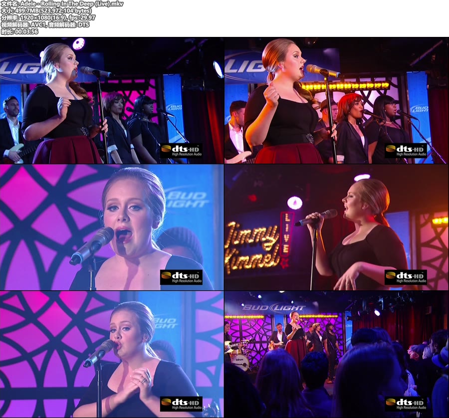 Adele – Rolling In The Deep (Live) [Blu-ray Cut 1080P 499M]BDRip、欧美现场、高清MV2
