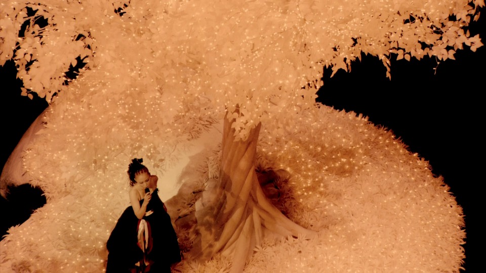 安室奈美惠 namie amuro – 5 Major Domes Tour 2012 ~20th Anniversary Best~ 五大巨蛋演唱会 (2012) 1080P蓝光原盘 [BDMV 38.4G]Blu-ray、日本演唱会、蓝光演唱会6