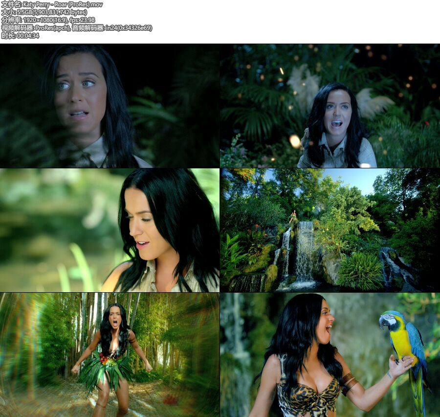 [PR] Katy Perry – Roar (官方MV) [ProRes] [1080P 5.5G]ProRes、欧美MV、高清MV2
