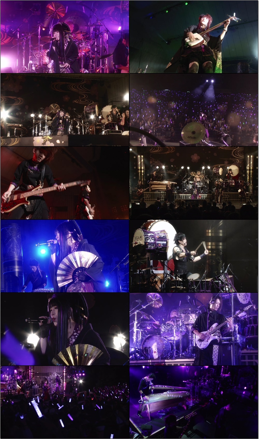 和楽器バンド (和乐器乐队, Wagakki Band) – 八奏絵巻 (1st JAPAN Tour 2015 日比谷野外大音楽堂) (2015) 1080P蓝光原盘 [BDMV 29.6G]Blu-ray、日本演唱会、蓝光演唱会12