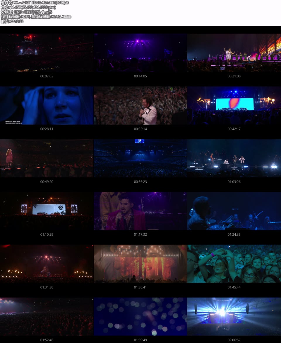 Avicii Tribute Concert 群星致敬Avicii演唱会 (2019) 1080P HDTV [TS 14.3G]HDTV欧美、HDTV演唱会10