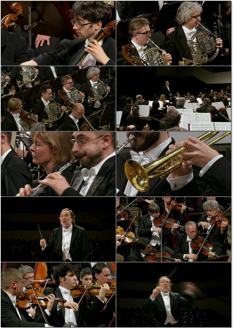 夏伊 马勒第一交响曲 Mahler Symphony No. 1 (Riccardo Chailly, Gewandhausorchester Leipzig) (2018) 1080P蓝光原盘 [BDMV 21.6G]Blu-ray、古典音乐会、蓝光演唱会6