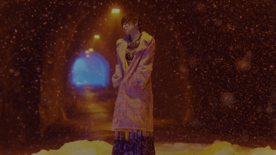 椎名林檎 (Shiina Ringo) – 性的ヒーリング ~其ノ伍~七~ (2019) 1080P蓝光原盘 [BDISO 21.3G]Blu-ray、日本演唱会、蓝光演唱会6