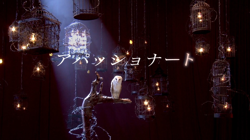 水树奈奈 (Nana Mizuki, 水樹奈々) – NANA CLIPS 7 (2016) 1080P蓝光原盘 [BDMV 45.6G]Blu-ray、日本演唱会、蓝光演唱会14