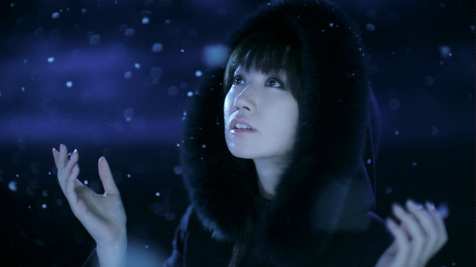 水树奈奈 (Nana Mizuki, 水樹奈々) – NANA CLIPS 5 (2010) 1080P蓝光原盘 [BDMV 43.2G]Blu-ray、日本演唱会、蓝光演唱会8