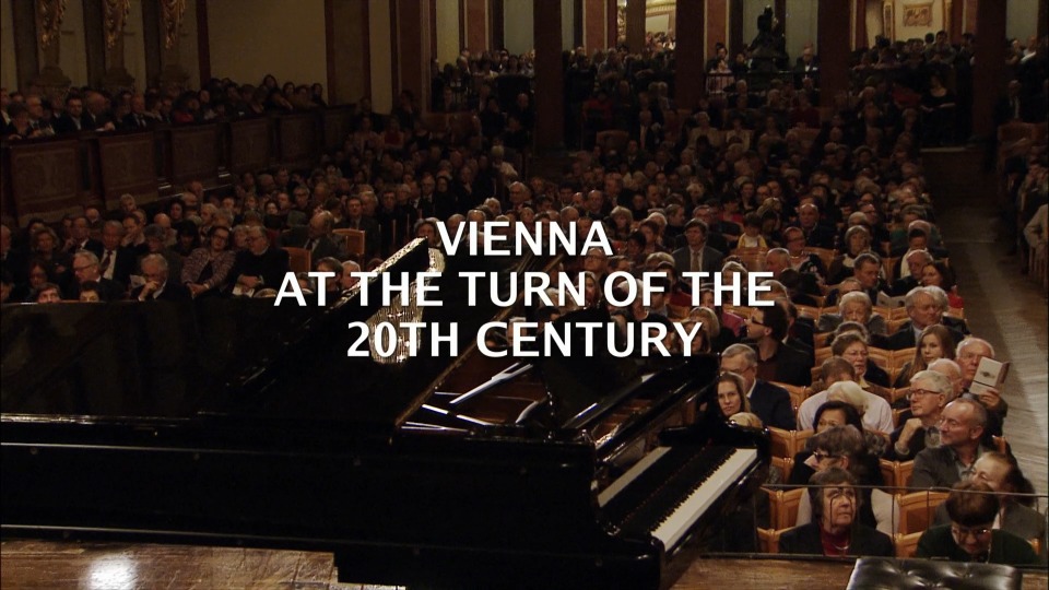 A Recital With Renée Fleming : Vienna at the Turn of the 20th Century (2014) 1080P蓝光原盘 [BDMV 20.4G]Blu-ray、古典音乐会、蓝光演唱会2