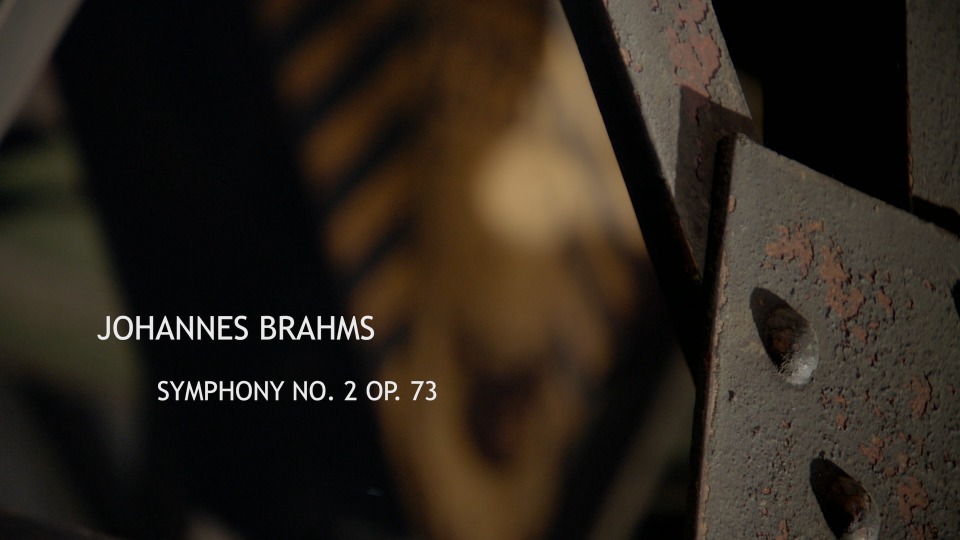 勃拉姆斯第二交响曲 Brahms Symphony No.2 : A Flight Through the Orchestra (2015) 1080P蓝光原盘 [BDMV 10.2G]Blu-ray、古典音乐会、蓝光演唱会2