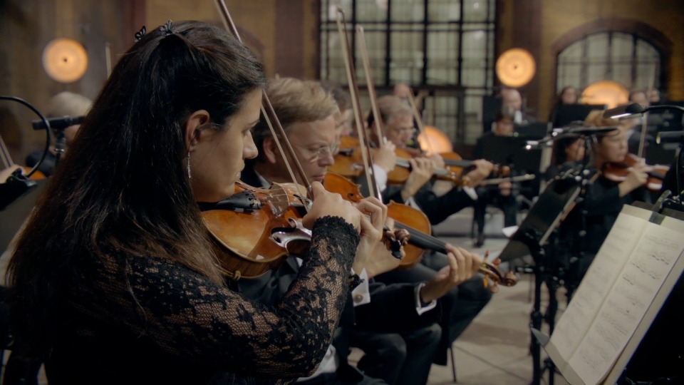 勃拉姆斯第二交响曲 Brahms Symphony No.2 : A Flight Through the Orchestra (2015) 1080P蓝光原盘 [BDMV 10.2G]Blu-ray、古典音乐会、蓝光演唱会6