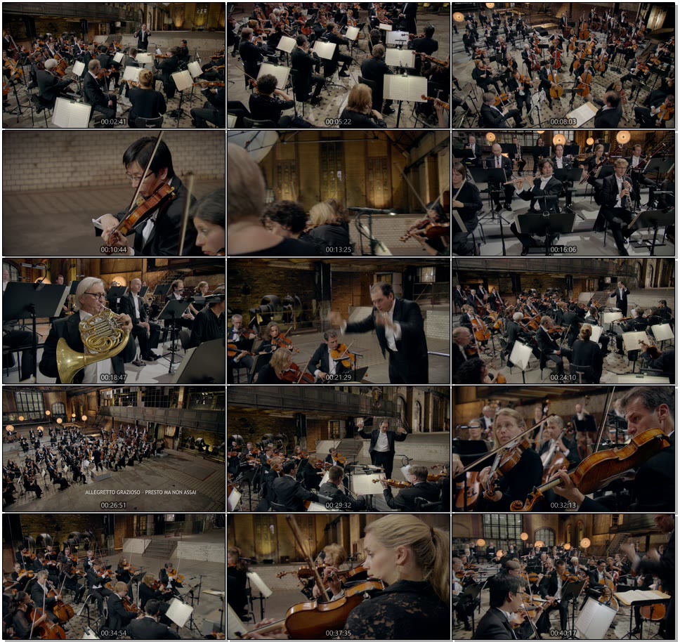 勃拉姆斯第二交响曲 Brahms Symphony No.2 : A Flight Through the Orchestra (2015) 1080P蓝光原盘 [BDMV 10.2G]Blu-ray、古典音乐会、蓝光演唱会8
