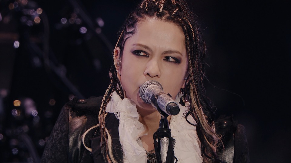 L'Arc~en~Ciel 彩虹乐队– LIVE 2014 at 国立竞技场(2014) 1080P