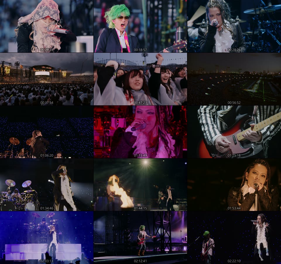 L'Arc~en~Ciel 彩虹乐队– LIVE 2014 at 国立竞技场(2014) 1080P