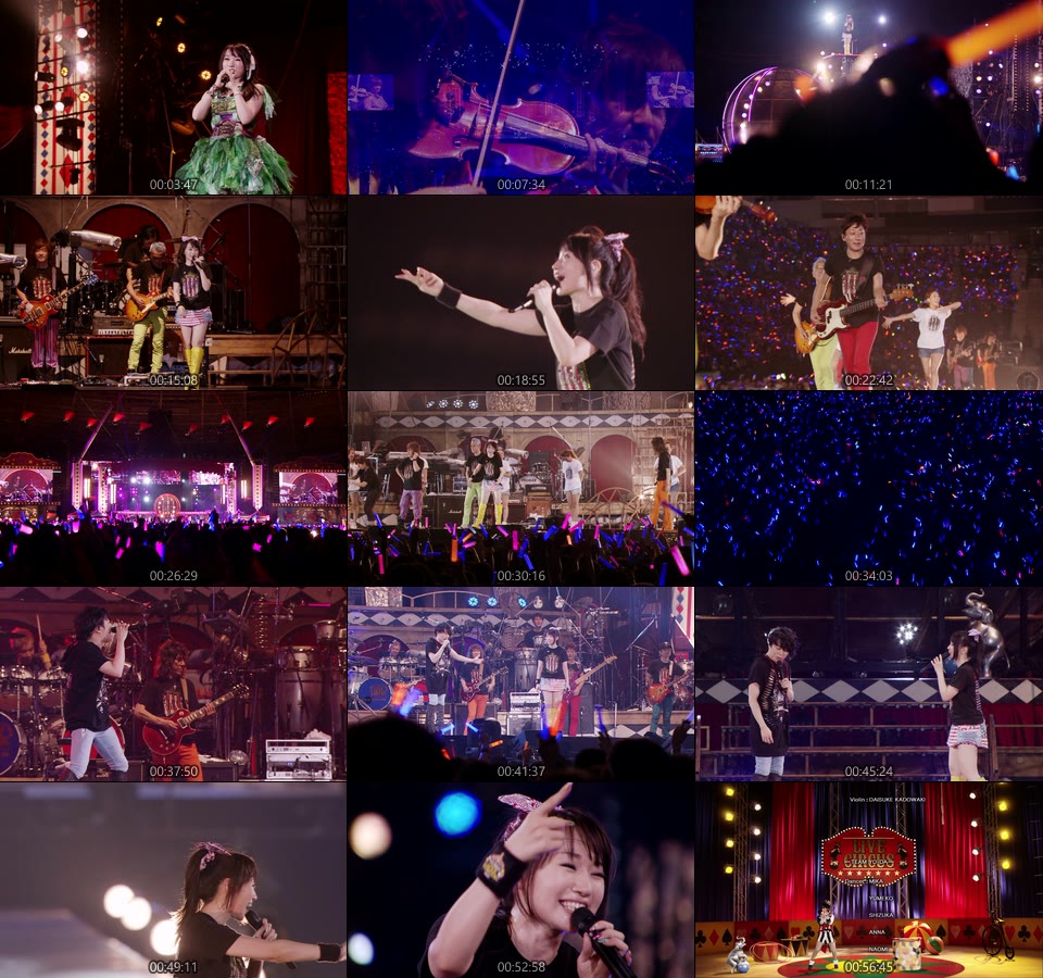 水树奈奈 (Nana Mizuki, 水樹奈々) – NANA MIZUKI LIVE CIRCUS × LIVE CIRCUS+ × NANA WINTER FESTA (2014) [4BD BDMV 158.8G]Blu-ray、日本演唱会、蓝光演唱会8
