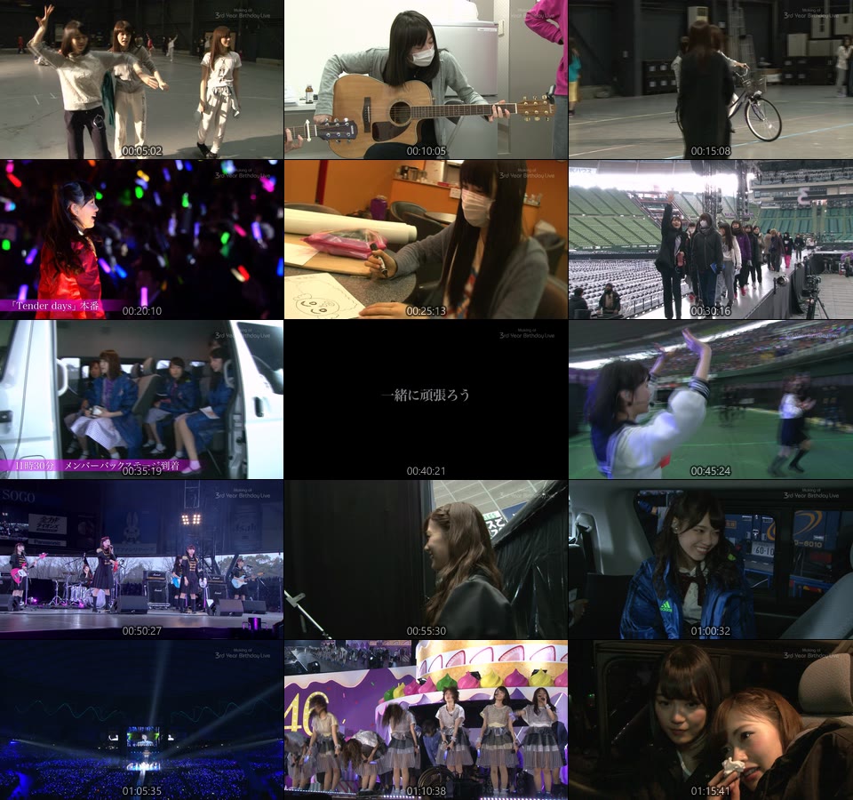 乃木坂46 (Nogizaka46) – 3rd YEAR BIRTHDAY LIVE 2015.2.22 SEIBU DOME [完全生産限定盤] (2015) [3BD BDISO 105.3G]Blu-ray、日本演唱会、蓝光演唱会20