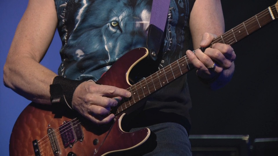 Deep Purple 深紫乐队 – To The Rising Sun : In Tokyo 东京演唱会 (2015) 1080P蓝光原盘 [BDMV 19.9G]Blu-ray、Blu-ray、摇滚演唱会、欧美演唱会、蓝光演唱会10