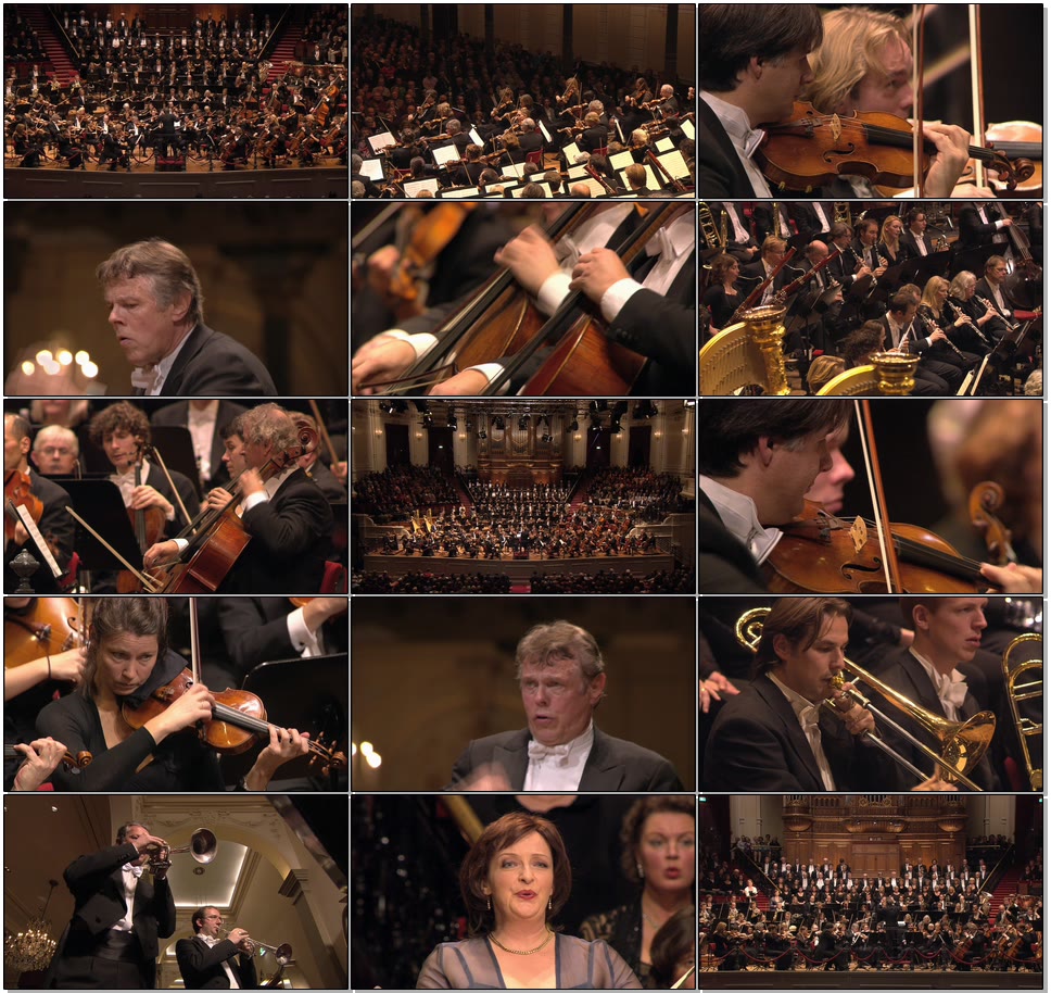 马勒交响曲全集11碟套装 Mahler Symphonies 1-10, Totenfeier & Das Lied von der Erde (2013) 1080P蓝光原盘 [11BD BDMV 216.5G]Blu-ray、古典音乐会、蓝光演唱会10