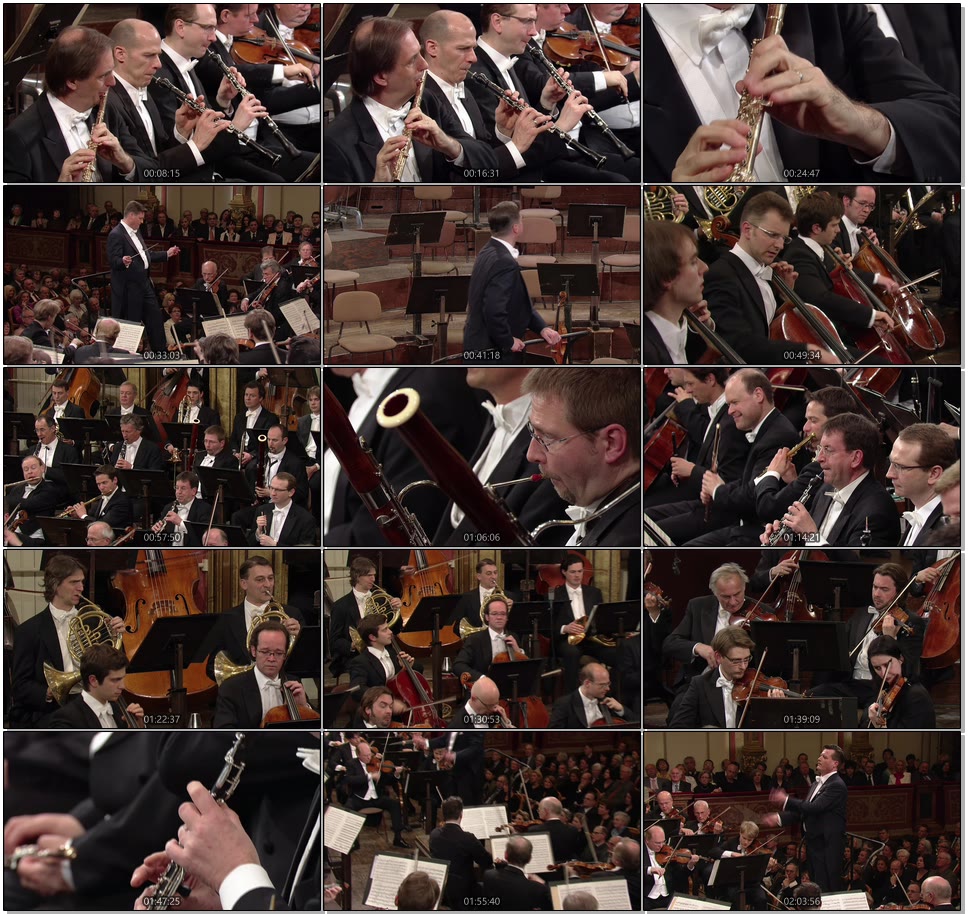 贝多芬交响曲全集 Christian Thielemann, Wiener Philharmoniker – Beethoven Symphonies Nos. 4, 5&6 (2010) 1080P蓝光原盘 [BDMV 40.2G]Blu-ray、古典音乐会、蓝光演唱会10