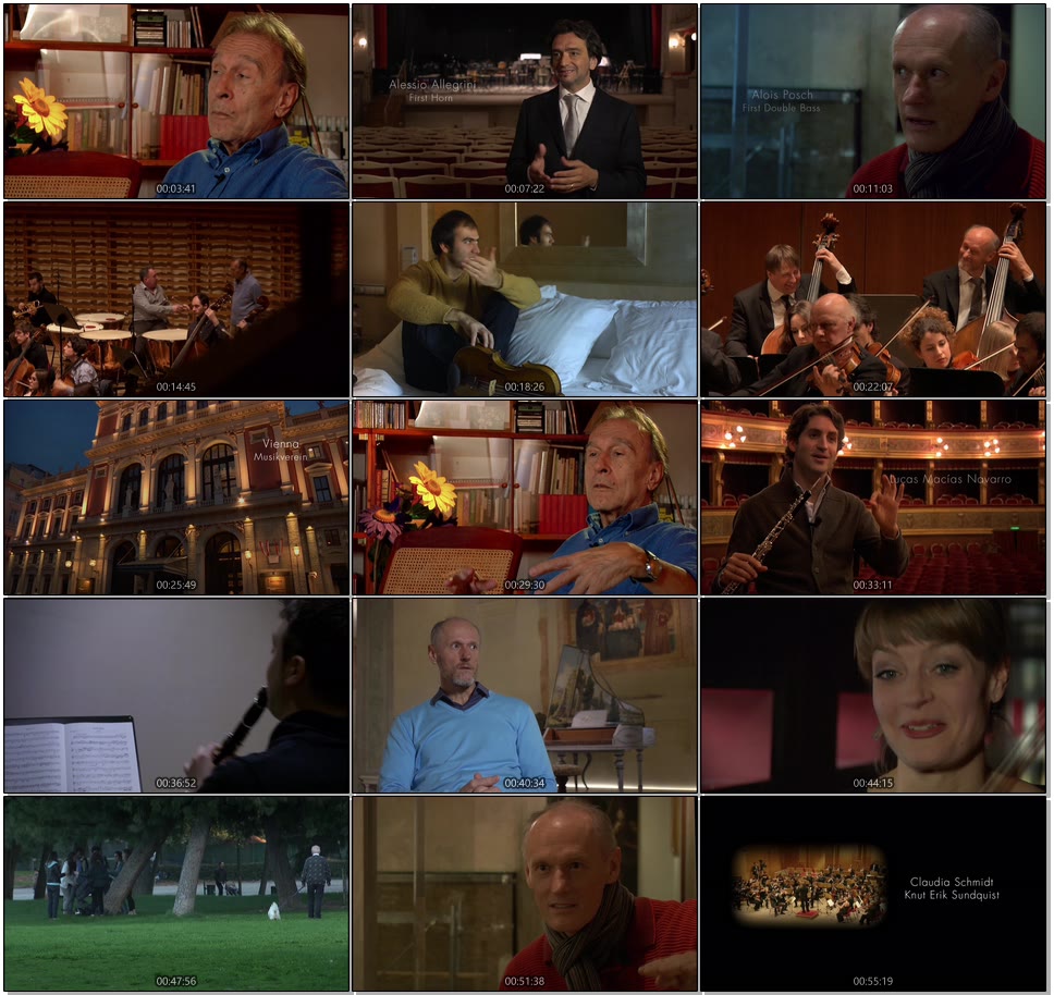 The Orchestra : Claudio Abbado and the Musicians of the Orchestra Mozart (2014) 1080P蓝光原盘 [BDMV 18.7G]Blu-ray、古典音乐会、蓝光演唱会10
