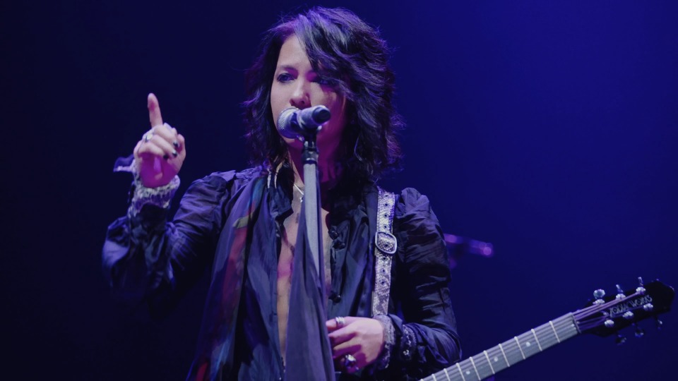 VAMPS (HYDE, 彩虹乐队) – COMPLETE BOX – GOLD DISC Edition – (2018