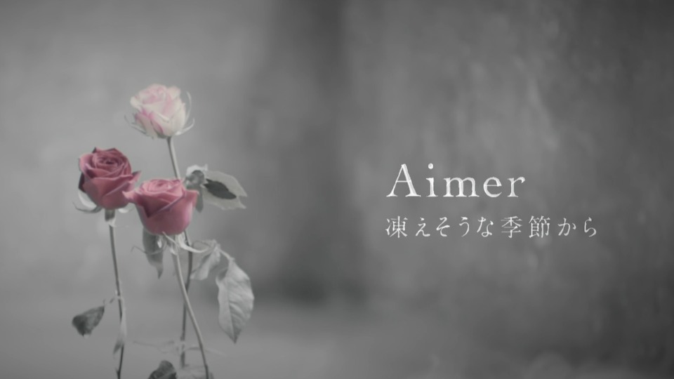 Aimer (エメ) – BEST SELECTION“noir”[初回生産限定盤A] (2017) 1080P蓝光原盘 [BDISO 16.5G]Blu-ray、日本演唱会、蓝光演唱会4
