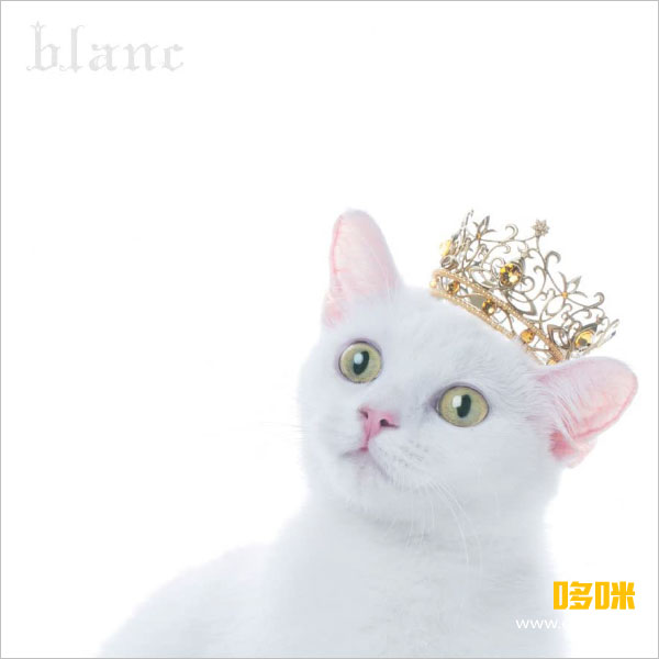 Aimer (エメ) – BEST SELECTION“blanc”[初回生産限定盤A] (2017) 1080P蓝光原盘 [BDISO 19.1G]