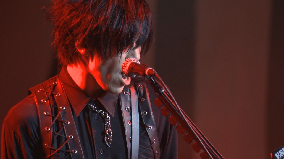 the GazettE – LIVE IN NEW YORK & WORLD TOUR19 DOCUMENTARY THE