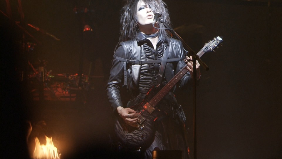 the GazettE – LIVE TOUR 15-16 DOGMATIC FINAL -漆黒- LIVE AT