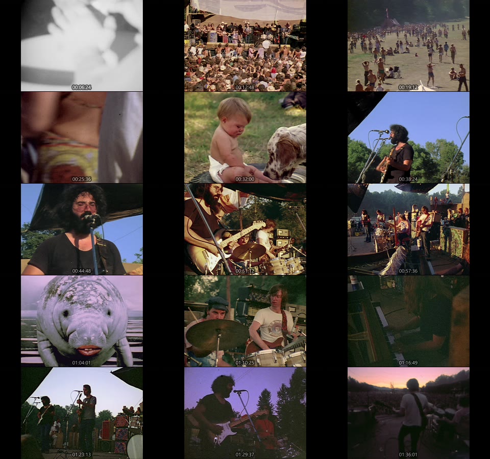 Grateful Dead 感恩而死 – Sunshine Daydream (2013) 1080P蓝光原盘 [BDMV 23.1G]Blu-ray、Blu-ray、摇滚演唱会、欧美演唱会、蓝光演唱会14