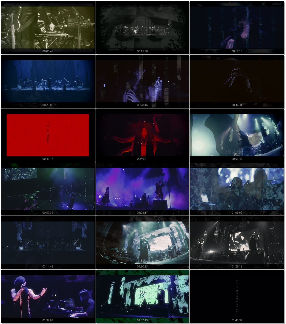 sukekiyo – PERSUASIO／2015.2.28 sukekiyo 2015 live ｢The Unified Field｣ -VITIUM- (2015) 1080P蓝光原盘 [BDISO 38.9G]Blu-ray、Blu-ray、摇滚演唱会、日本演唱会、蓝光演唱会12